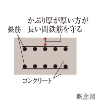 かぶり厚