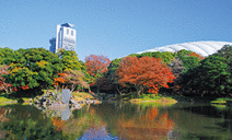 小石川後楽園