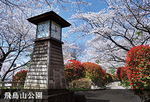 飛鳥山公園