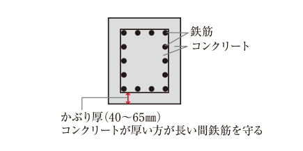 かぶり厚