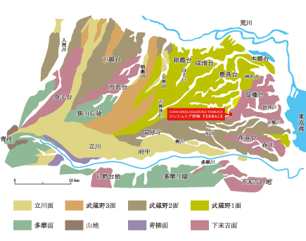 標高約39mの高台に立地