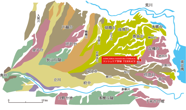 標高約39mの高台に立地