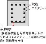 かぶり厚