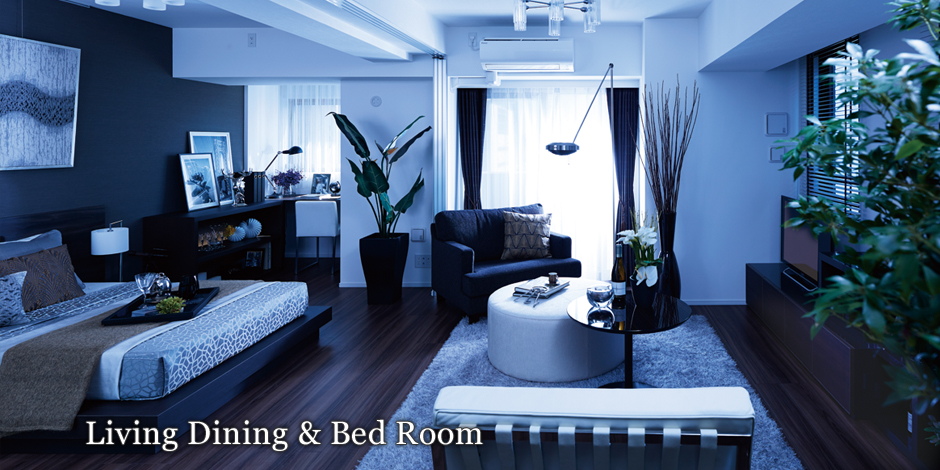 Living Dining & Bed Room