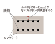 かぶり厚