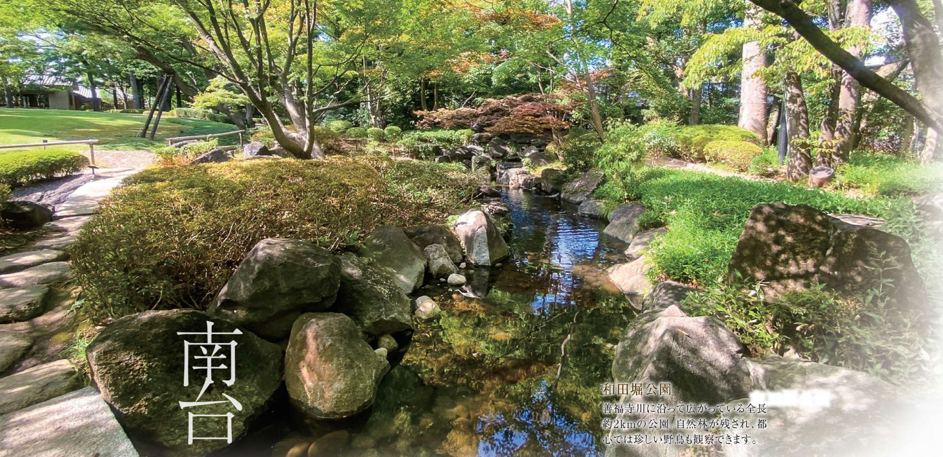 南台 和田堀公園 善福寺川に沿って広がっている全長約2kmの公園。自然林が残され、都心では珍しい野鳥も観察できます。