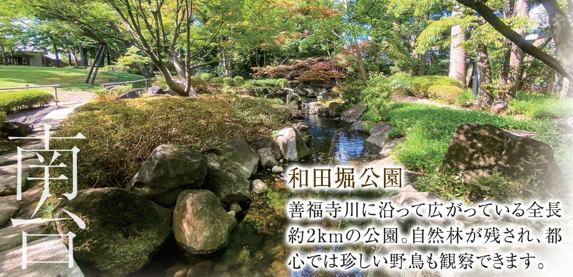南台 和田堀公園 善福寺川に沿って広がっている全長約2kmの公園。自然林が残され、都心では珍しい野鳥も観察できます。