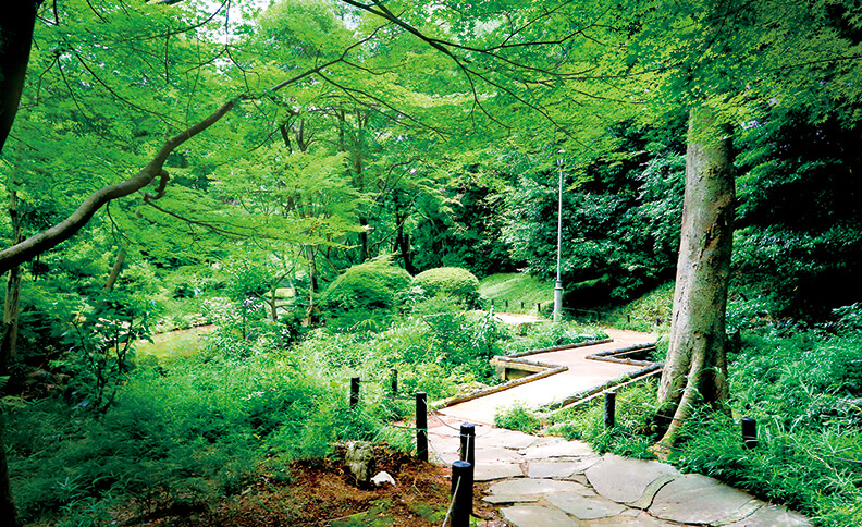 有栖川宮記念公園