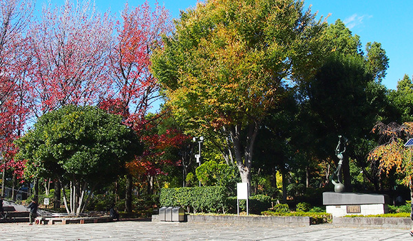 教育の森公園