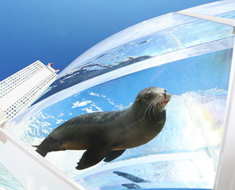 サンシャイン 水族館