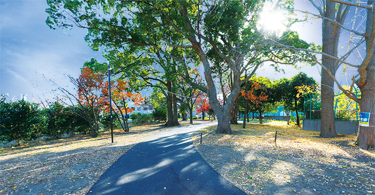 富士見公園