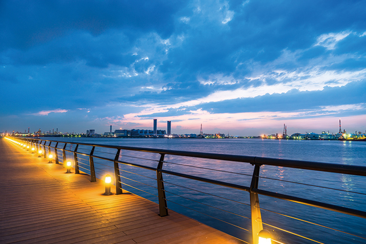 東扇島東公園(かわさきの浜)