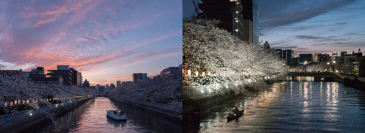 大横川