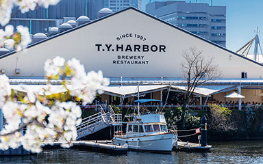 T.Y.HARBOR