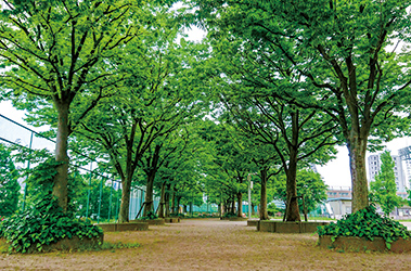 落合中央公園