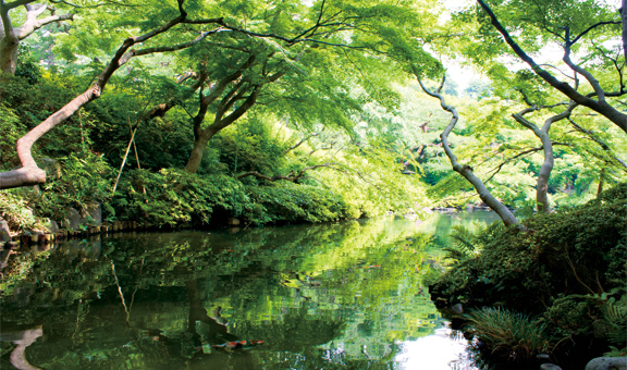 八芳園