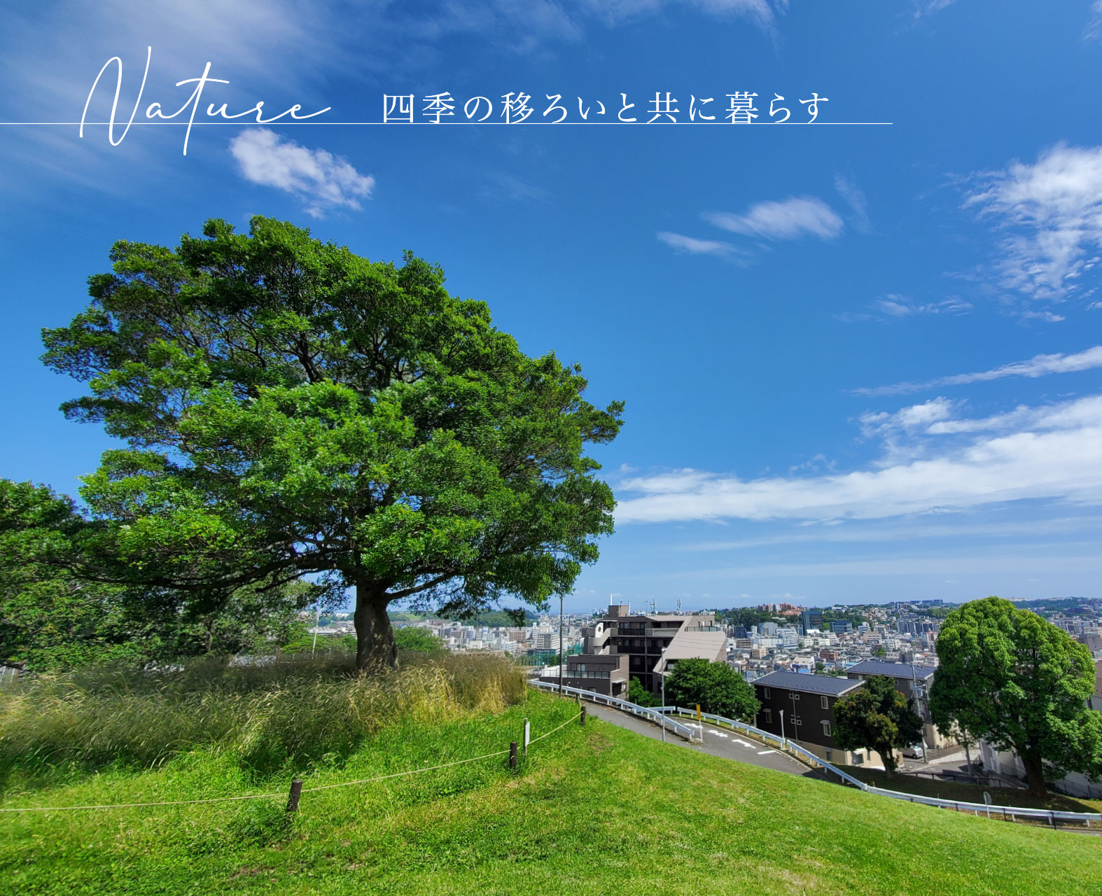 清水ヶ丘公園