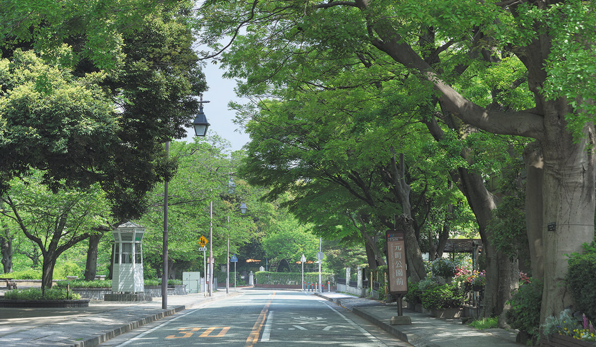 山手本通り